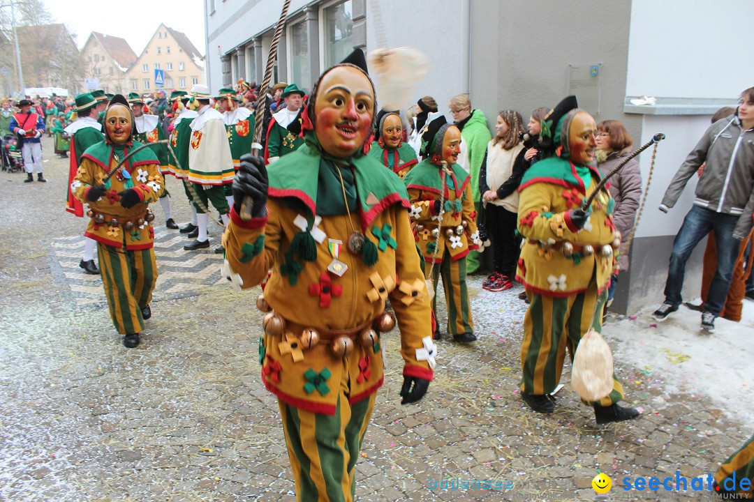 Rosenmontags-Umzug: Messkirch am Bodensee, 16.02.2015