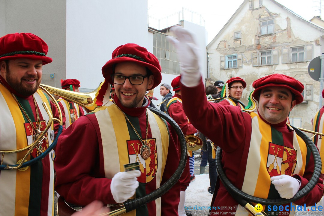 Rosenmontags-Umzug: Messkirch am Bodensee, 16.02.2015