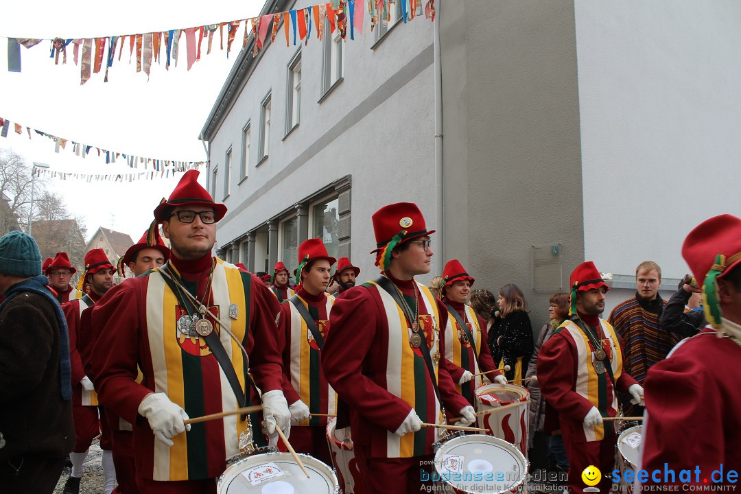 Rosenmontags-Umzug: Messkirch am Bodensee, 16.02.2015