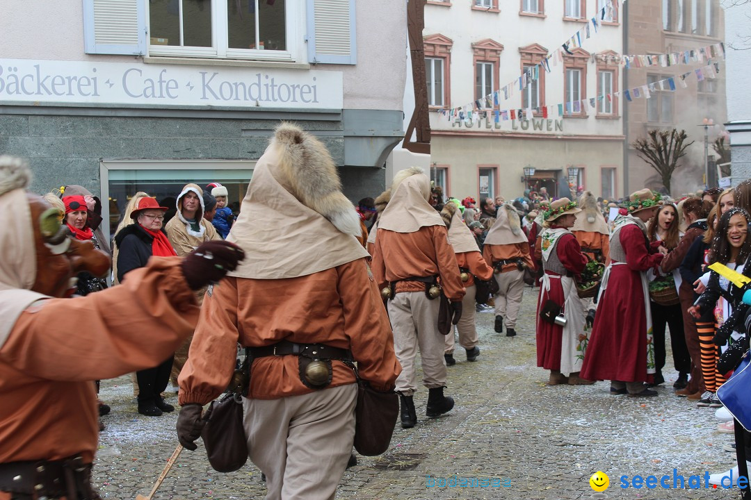 Rosenmontags-Umzug: Messkirch am Bodensee, 16.02.2015