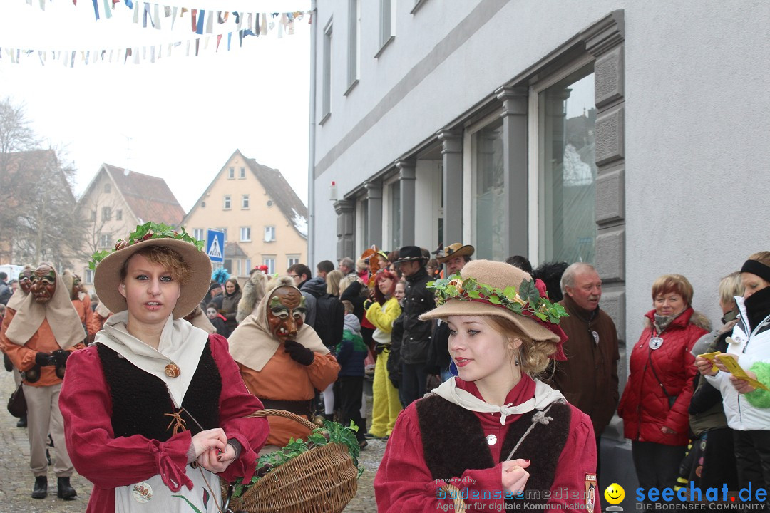 Rosenmontags-Umzug: Messkirch am Bodensee, 16.02.2015