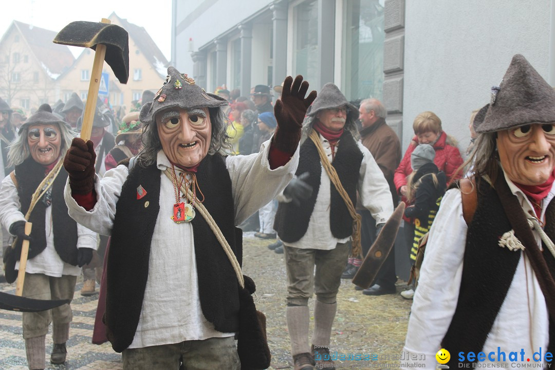 Rosenmontags-Umzug: Messkirch am Bodensee, 16.02.2015