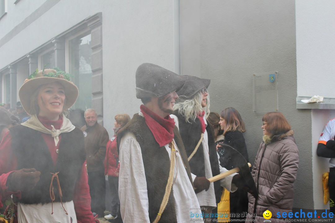 Rosenmontags-Umzug: Messkirch am Bodensee, 16.02.2015