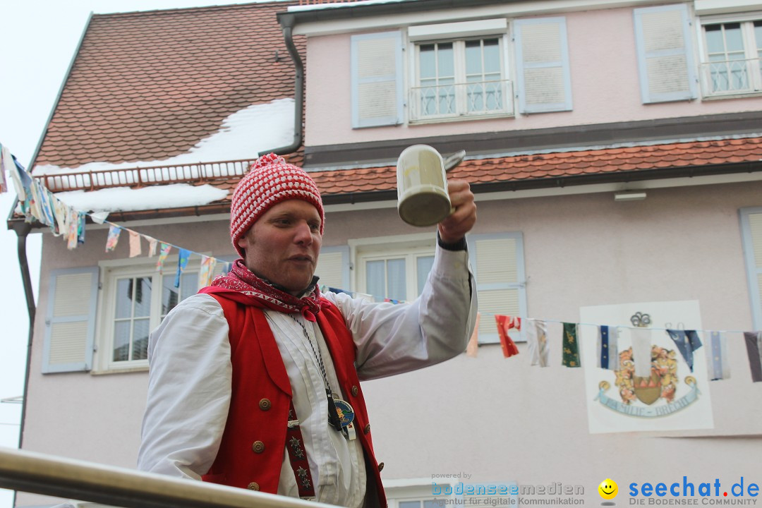 Rosenmontags-Umzug: Messkirch am Bodensee, 16.02.2015