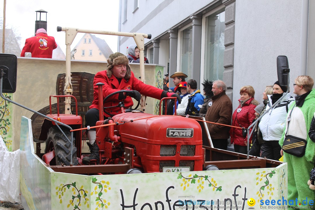 Rosenmontags-Umzug: Messkirch am Bodensee, 16.02.2015