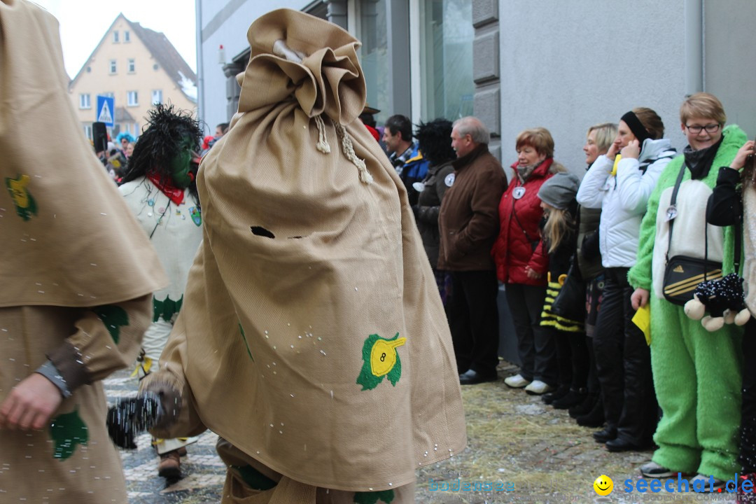 Rosenmontags-Umzug: Messkirch am Bodensee, 16.02.2015