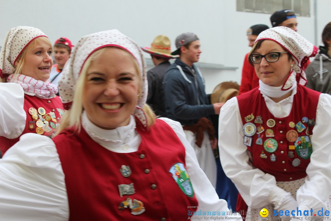 Rosenmontags-Umzug: Messkirch am Bodensee, 16.02.2015