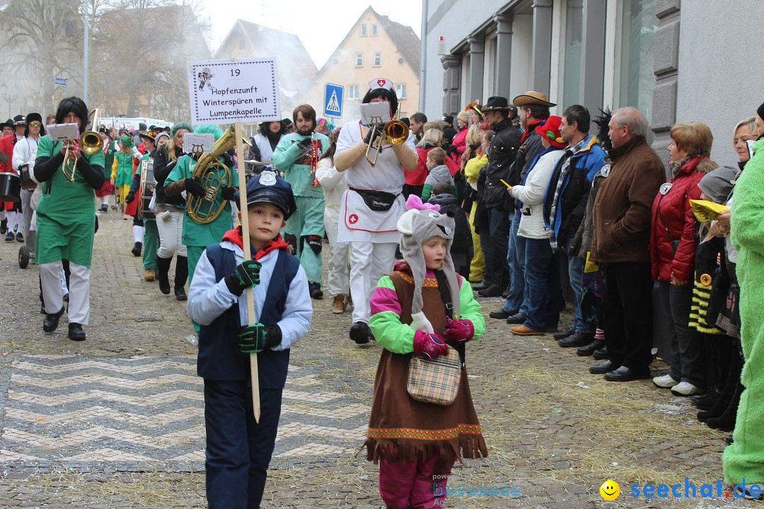 Rosenmontags-Umzug: Messkirch am Bodensee, 16.02.2015