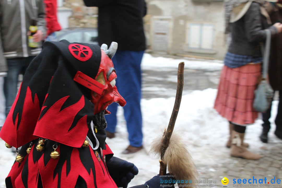 Rosenmontags-Umzug: Messkirch am Bodensee, 16.02.2015