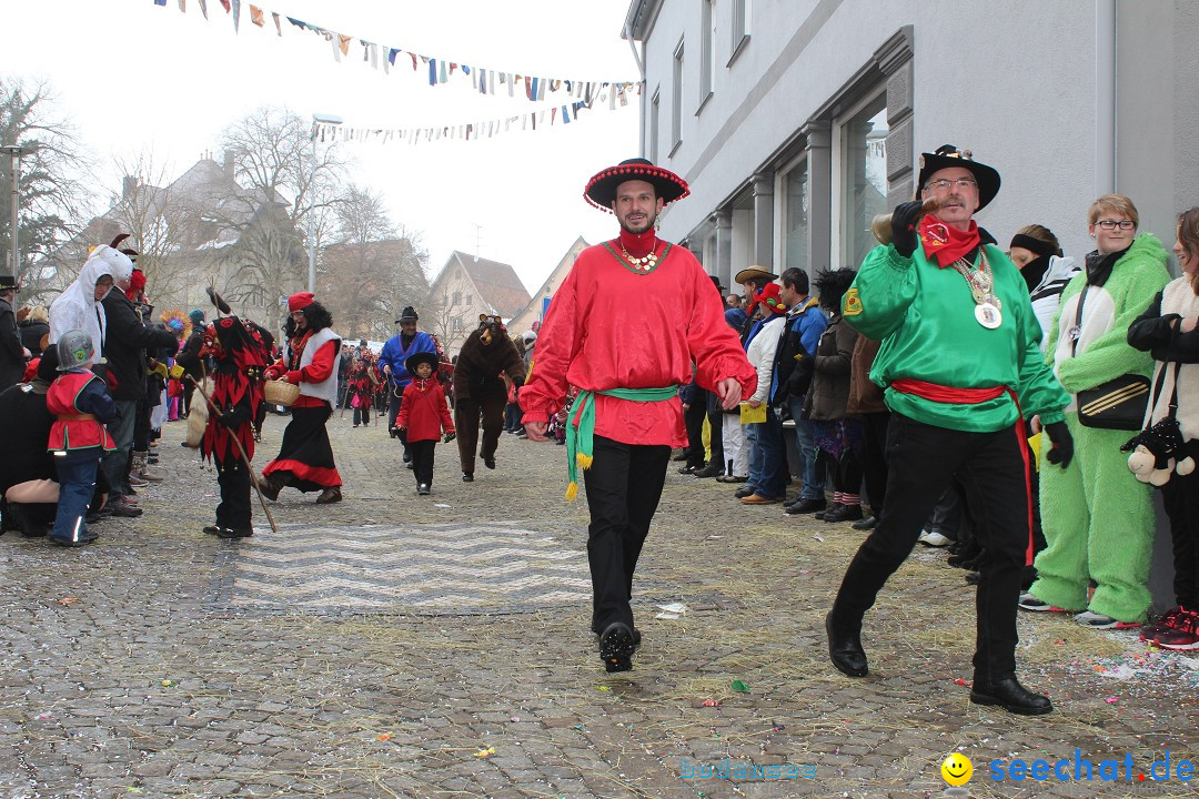 Rosenmontags-Umzug: Messkirch am Bodensee, 16.02.2015