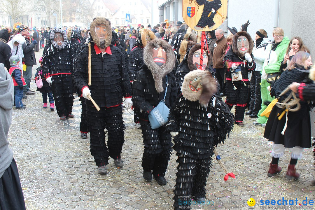 Rosenmontags-Umzug: Messkirch am Bodensee, 16.02.2015