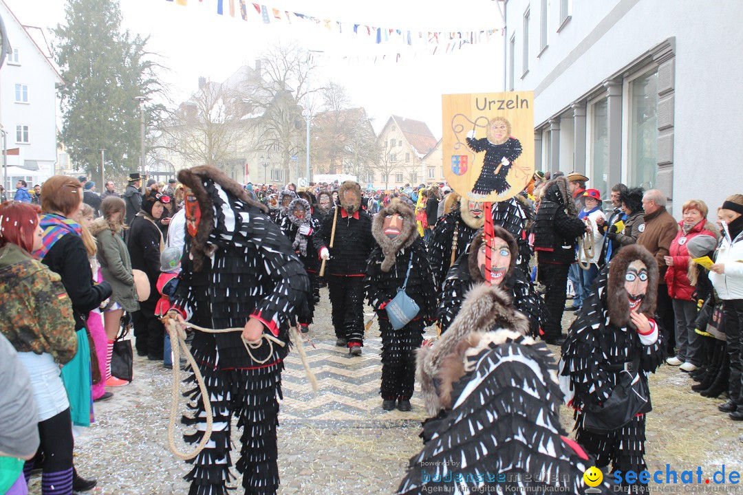 Rosenmontags-Umzug: Messkirch am Bodensee, 16.02.2015