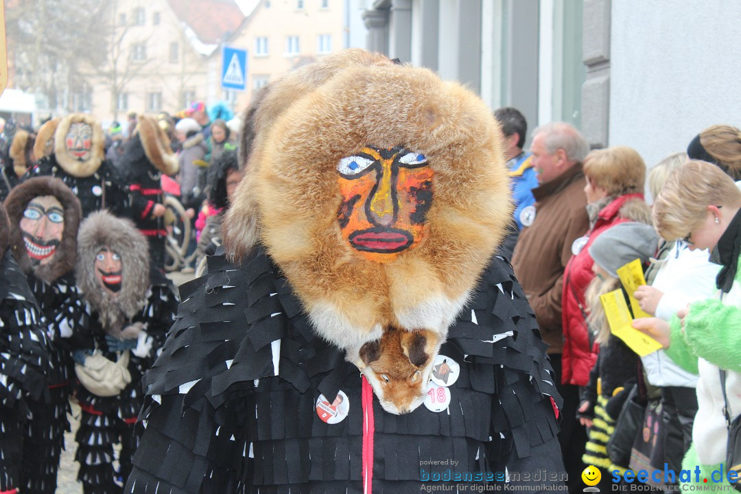 Rosenmontags-Umzug: Messkirch am Bodensee, 16.02.2015