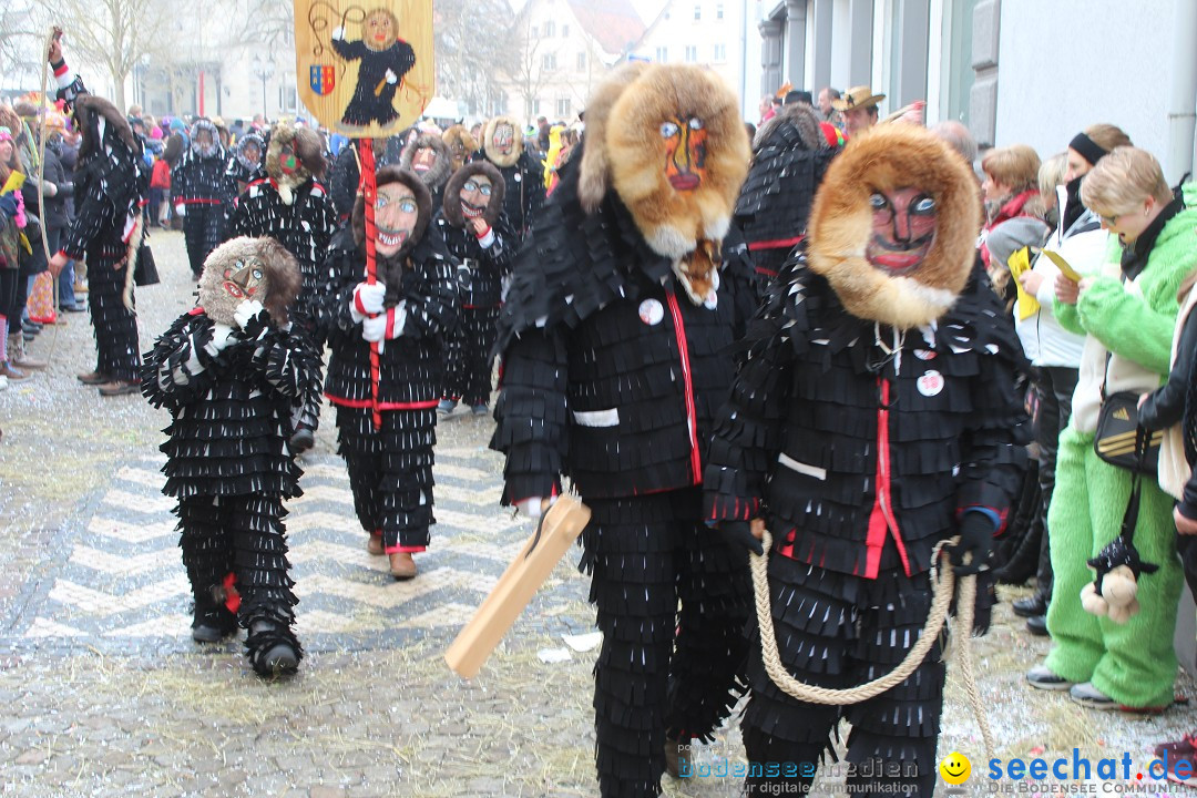 Rosenmontags-Umzug: Messkirch am Bodensee, 16.02.2015