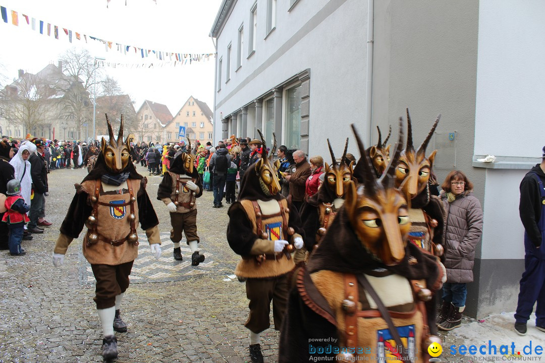 Rosenmontags-Umzug: Messkirch am Bodensee, 16.02.2015