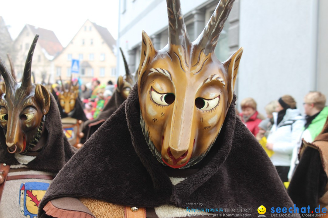 Rosenmontags-Umzug: Messkirch am Bodensee, 16.02.2015