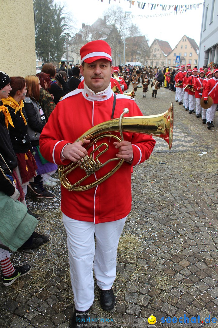 Rosenmontags-Umzug: Messkirch am Bodensee, 16.02.2015