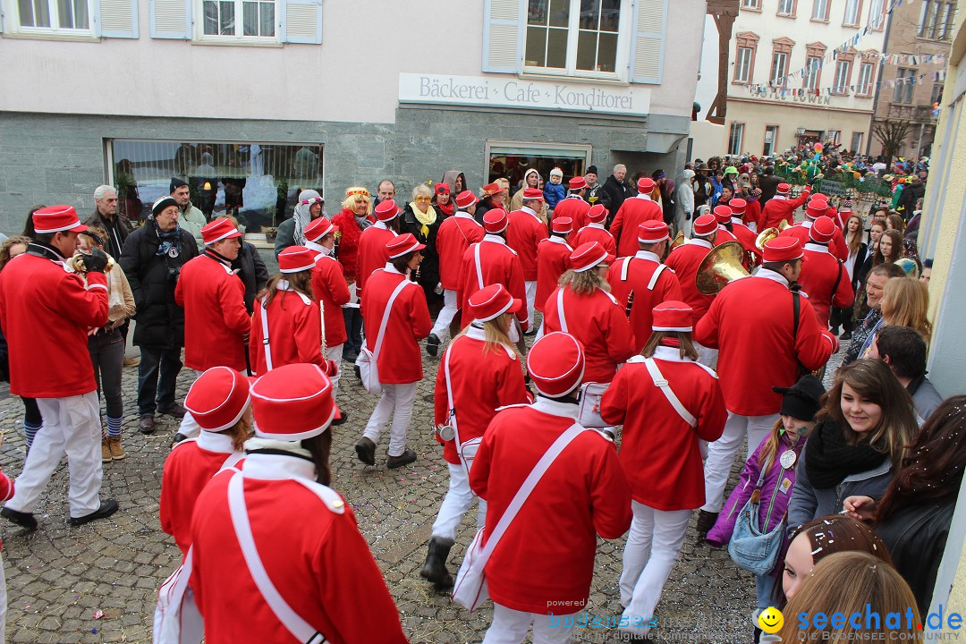 Rosenmontags-Umzug: Messkirch am Bodensee, 16.02.2015