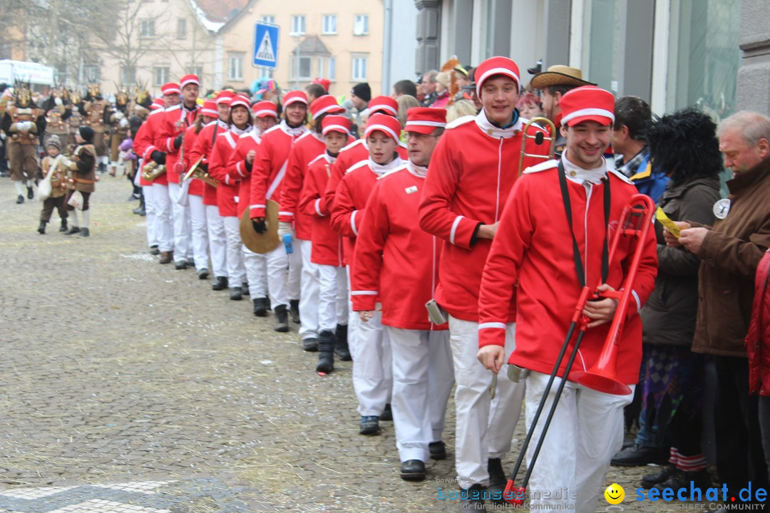 Rosenmontags-Umzug: Messkirch am Bodensee, 16.02.2015