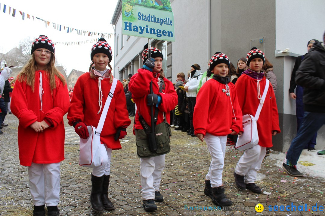 Rosenmontags-Umzug: Messkirch am Bodensee, 16.02.2015