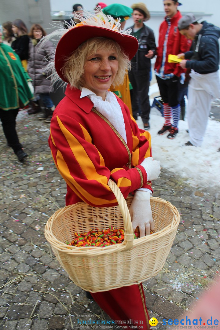 Rosenmontags-Umzug: Messkirch am Bodensee, 16.02.2015