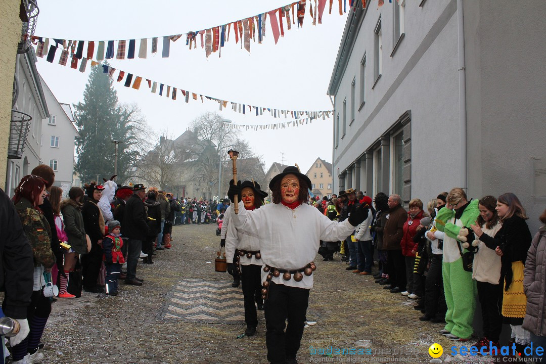 Rosenmontags-Umzug: Messkirch am Bodensee, 16.02.2015