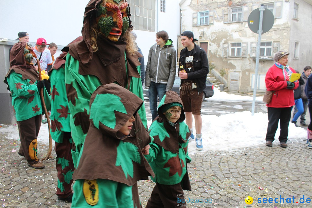 Rosenmontags-Umzug: Messkirch am Bodensee, 16.02.2015