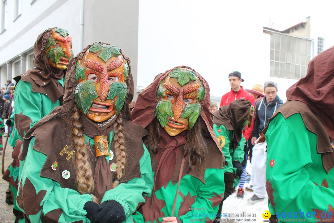 Rosenmontags-Umzug: Messkirch am Bodensee, 16.02.2015