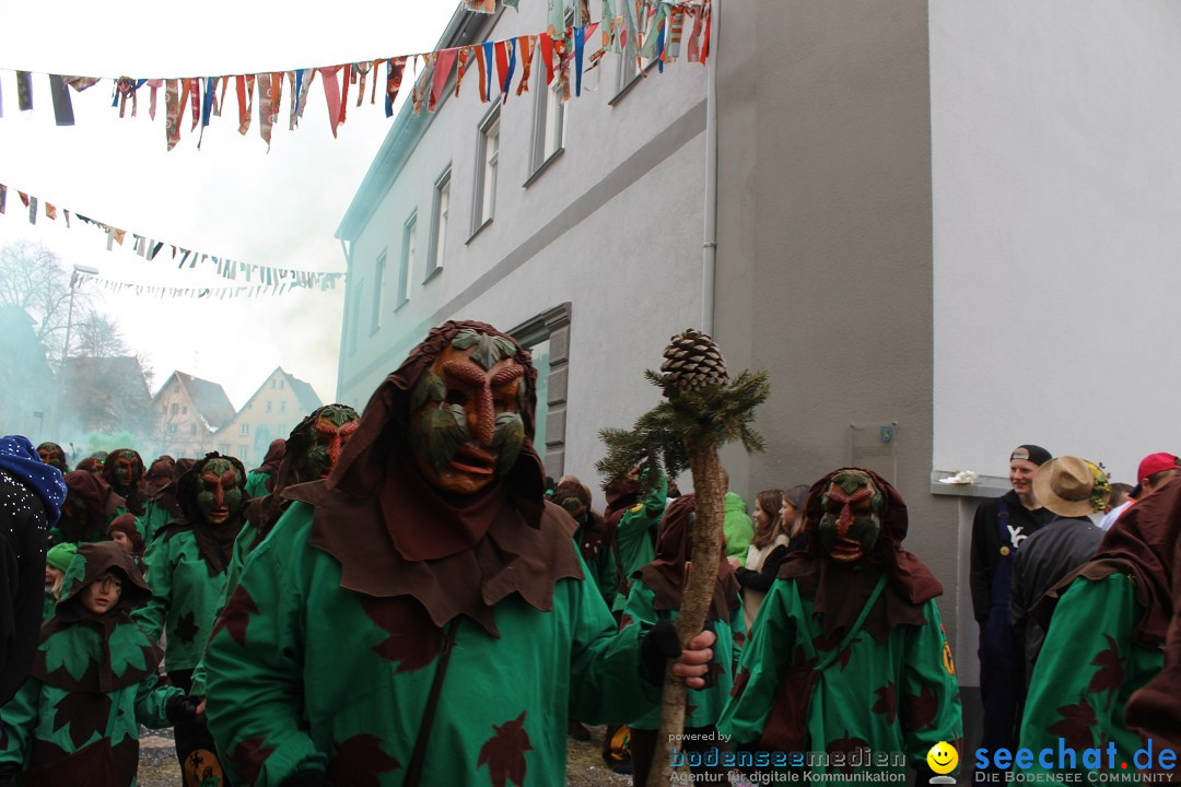 Rosenmontags-Umzug: Messkirch am Bodensee, 16.02.2015