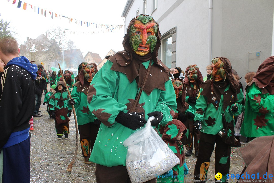 Rosenmontags-Umzug: Messkirch am Bodensee, 16.02.2015