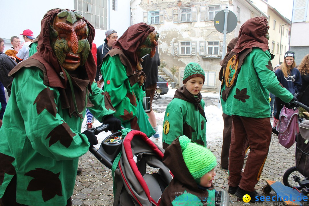 Rosenmontags-Umzug: Messkirch am Bodensee, 16.02.2015