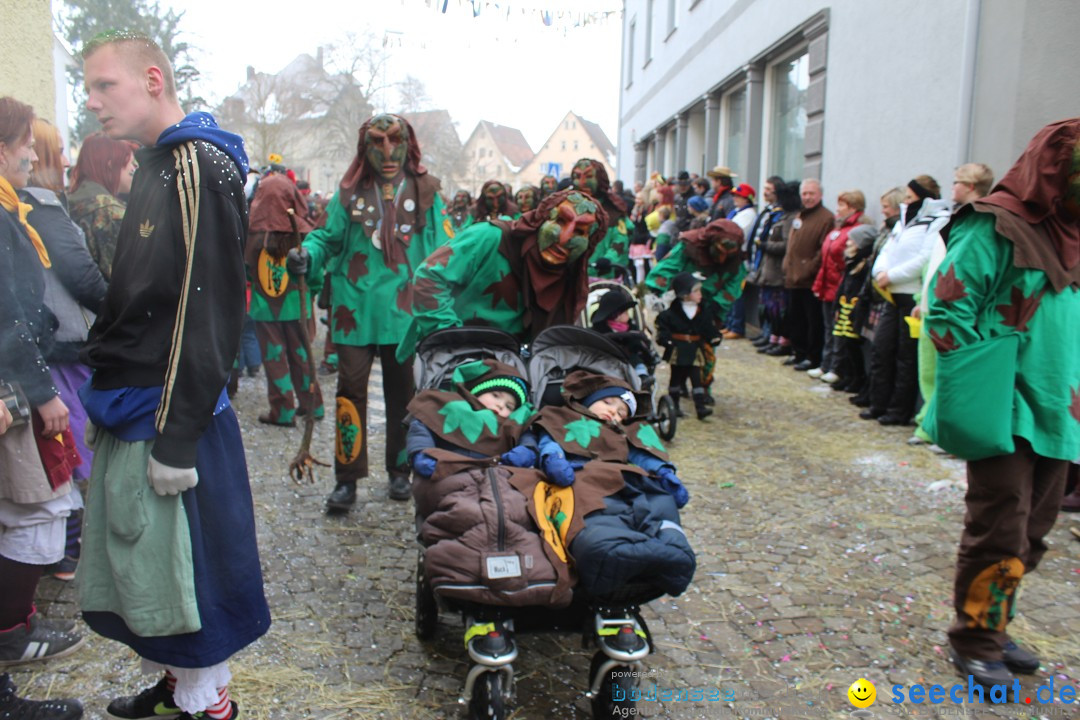 Rosenmontags-Umzug: Messkirch am Bodensee, 16.02.2015