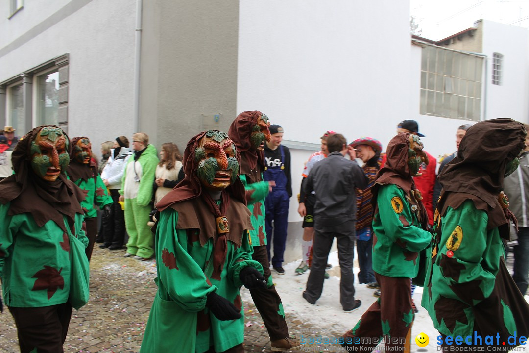 Rosenmontags-Umzug: Messkirch am Bodensee, 16.02.2015