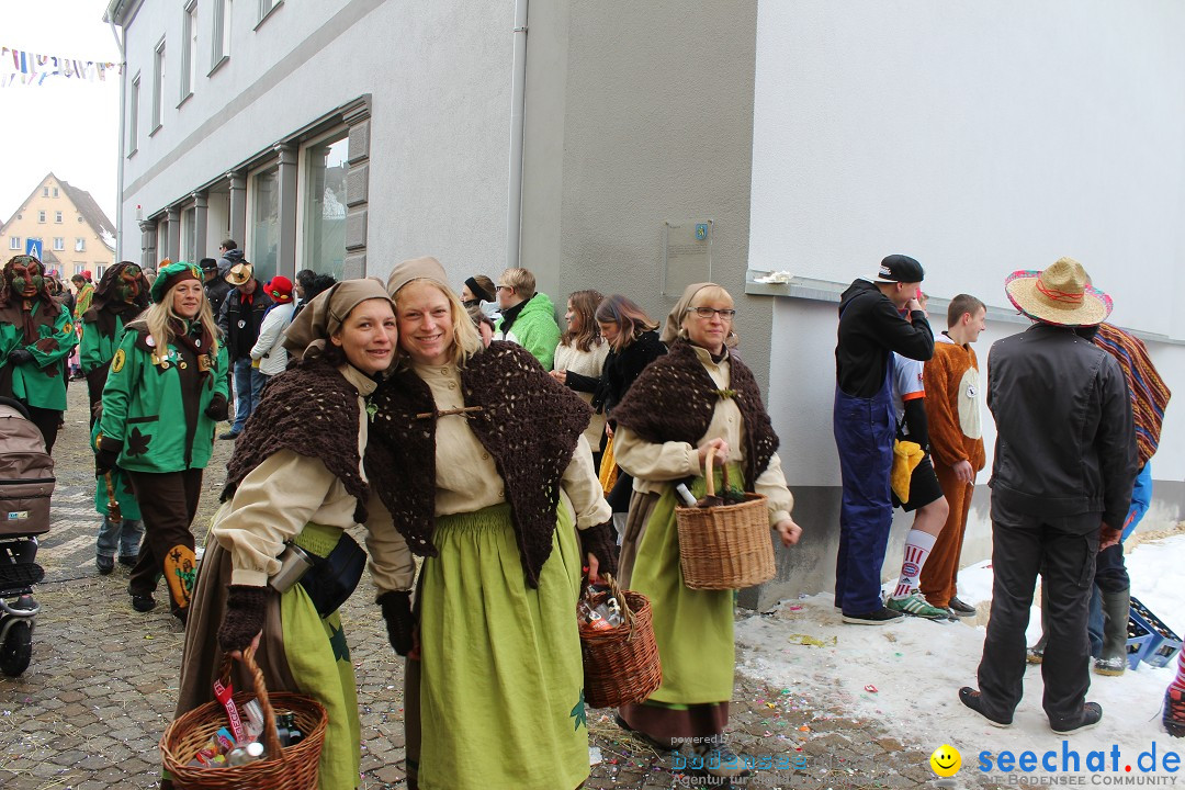 Rosenmontags-Umzug: Messkirch am Bodensee, 16.02.2015