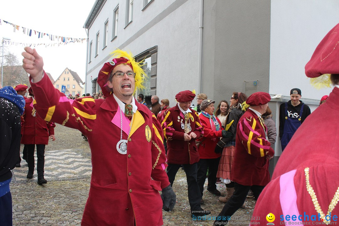 Rosenmontags-Umzug: Messkirch am Bodensee, 16.02.2015