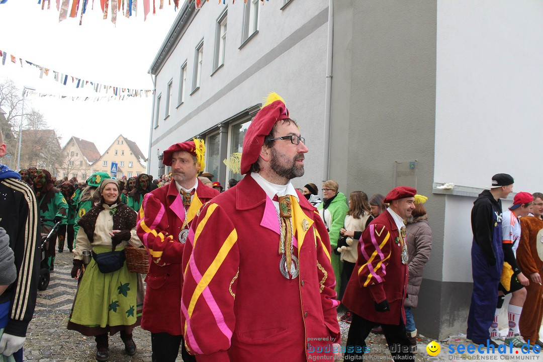 Rosenmontags-Umzug: Messkirch am Bodensee, 16.02.2015