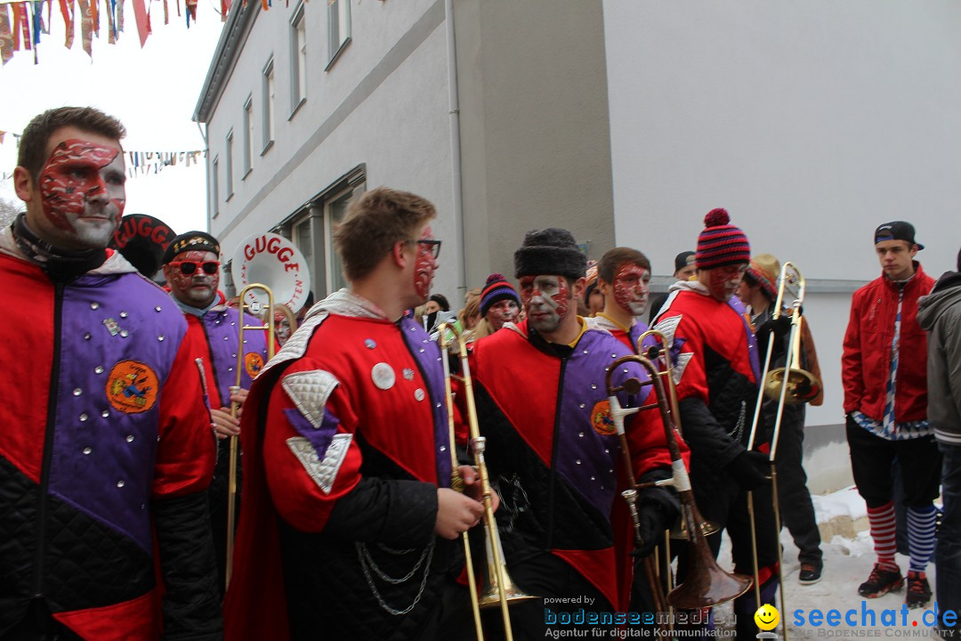 Rosenmontags-Umzug: Messkirch am Bodensee, 16.02.2015