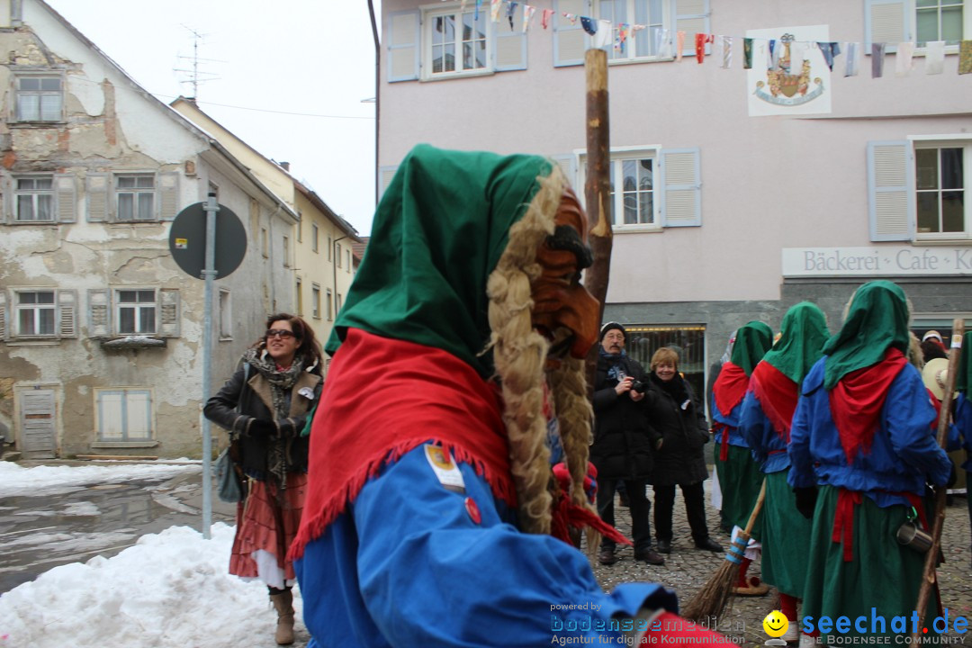 Rosenmontags-Umzug: Messkirch am Bodensee, 16.02.2015