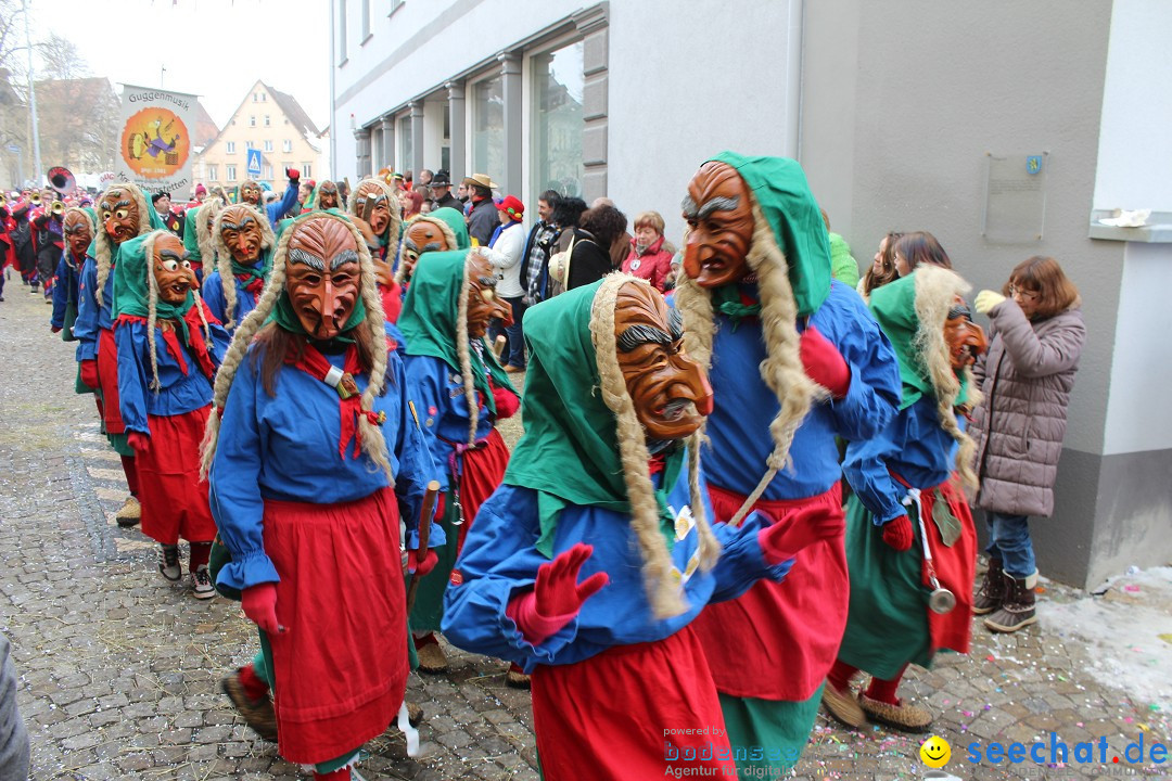 Rosenmontags-Umzug: Messkirch am Bodensee, 16.02.2015