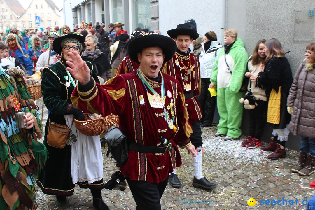 Rosenmontags-Umzug: Messkirch am Bodensee, 16.02.2015