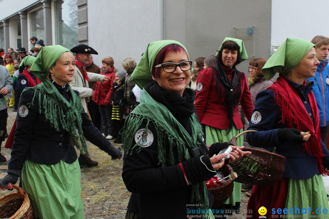 Rosenmontags-Umzug: Messkirch am Bodensee, 16.02.2015