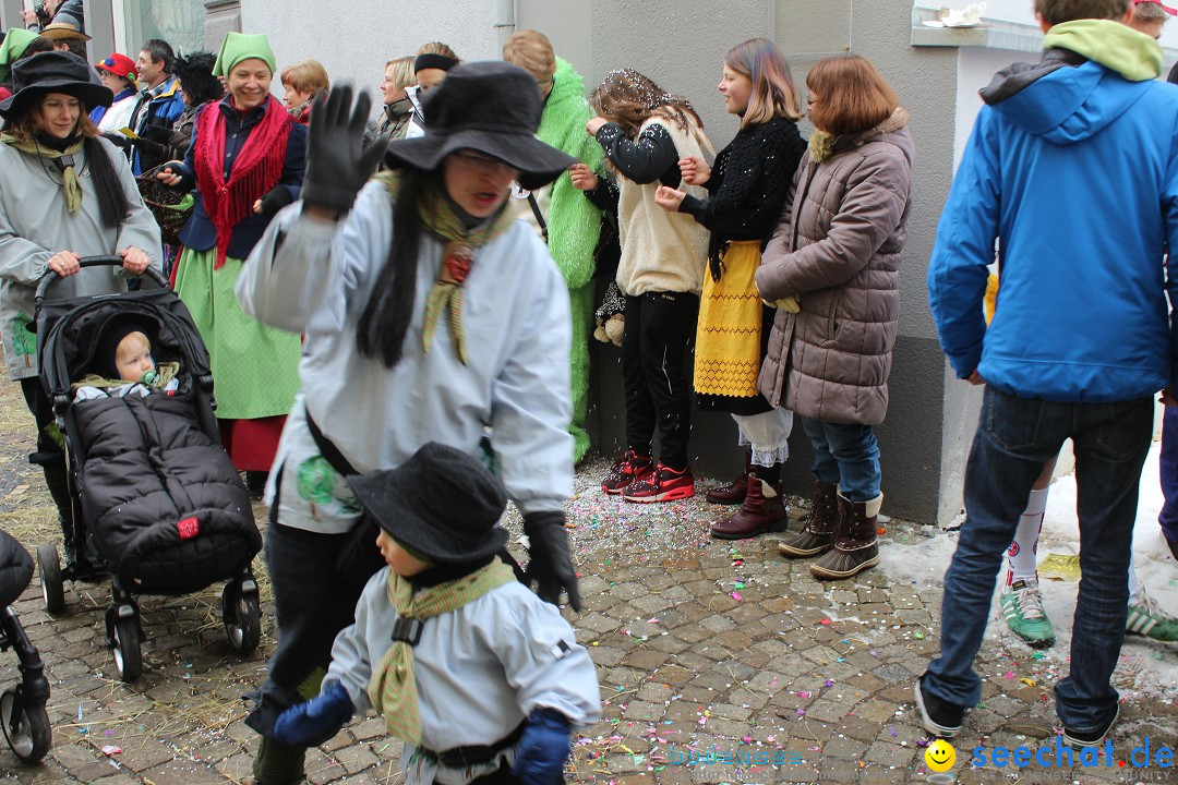 Rosenmontags-Umzug: Messkirch am Bodensee, 16.02.2015