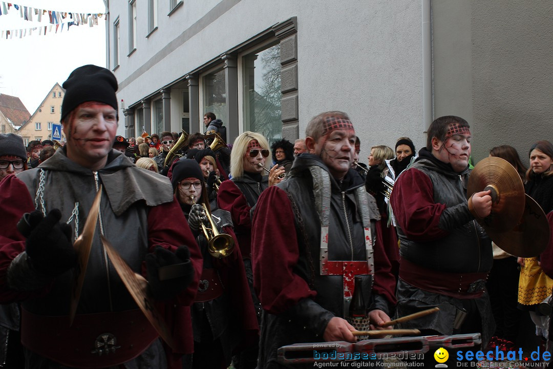 Rosenmontags-Umzug: Messkirch am Bodensee, 16.02.2015