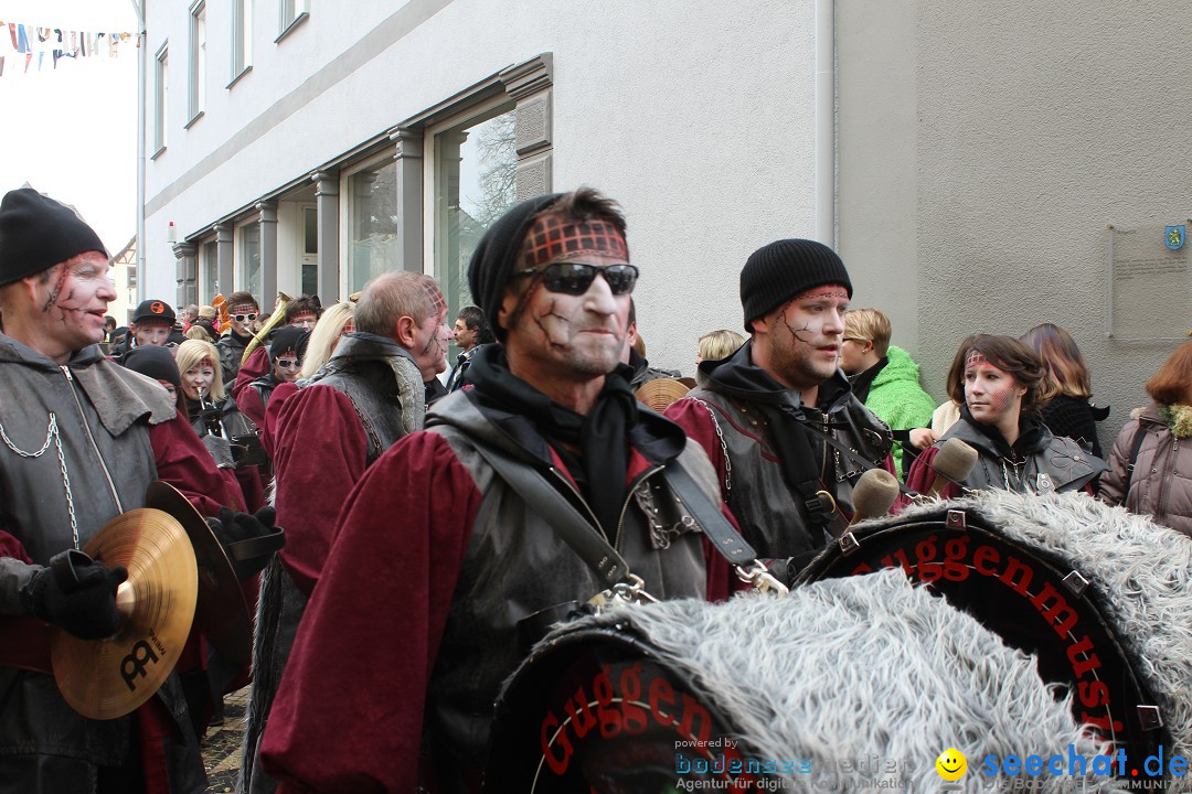 Rosenmontags-Umzug: Messkirch am Bodensee, 16.02.2015