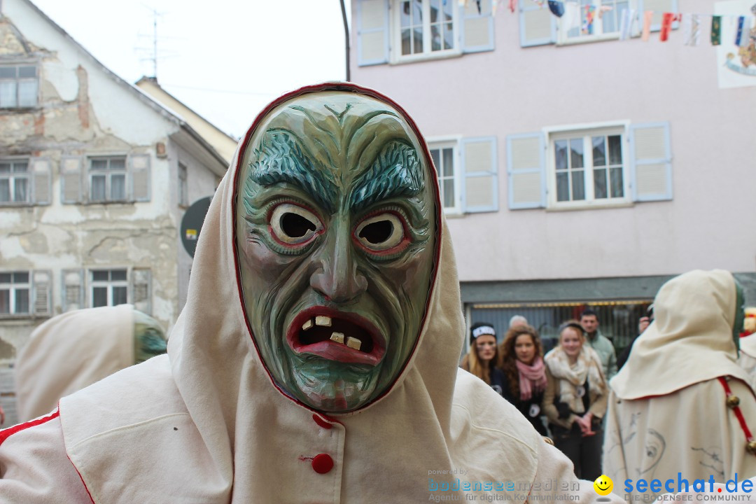 Rosenmontags-Umzug: Messkirch am Bodensee, 16.02.2015