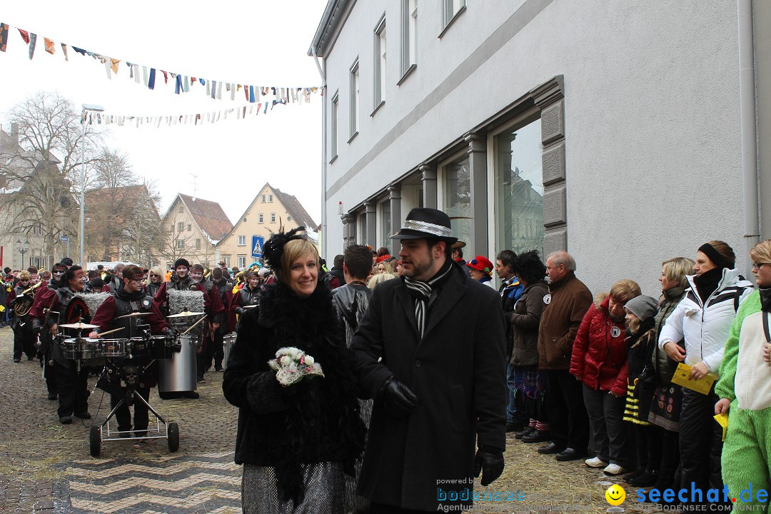 Rosenmontags-Umzug: Messkirch am Bodensee, 16.02.2015