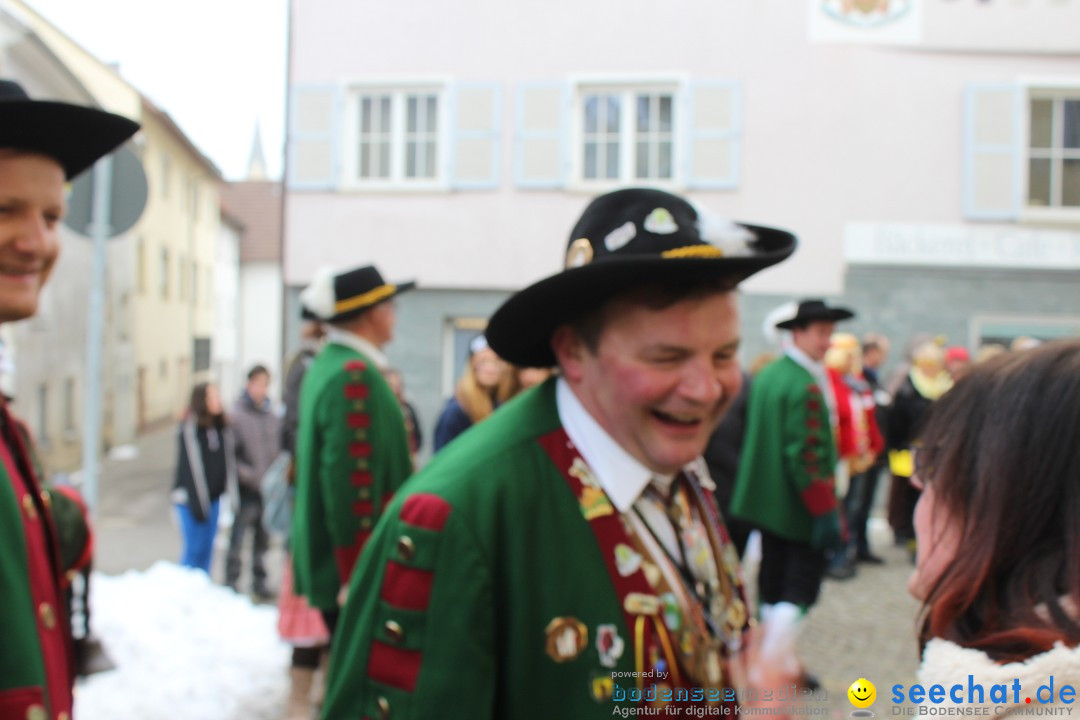 Rosenmontags-Umzug: Messkirch am Bodensee, 16.02.2015