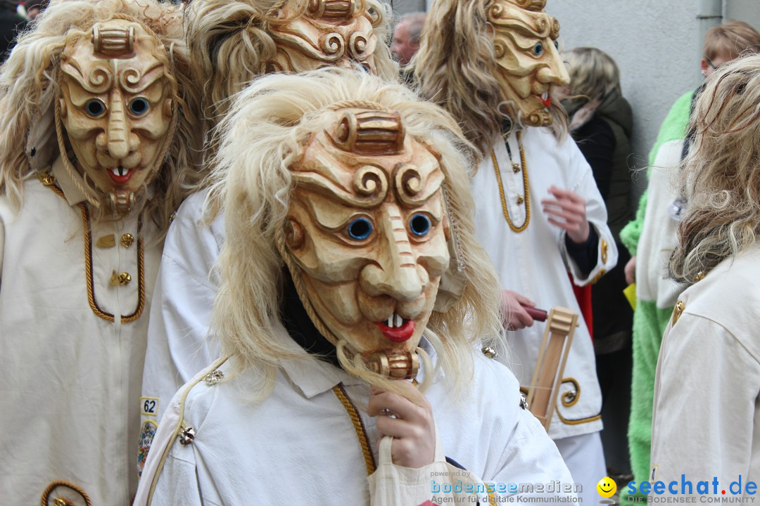 Rosenmontags-Umzug: Messkirch am Bodensee, 16.02.2015