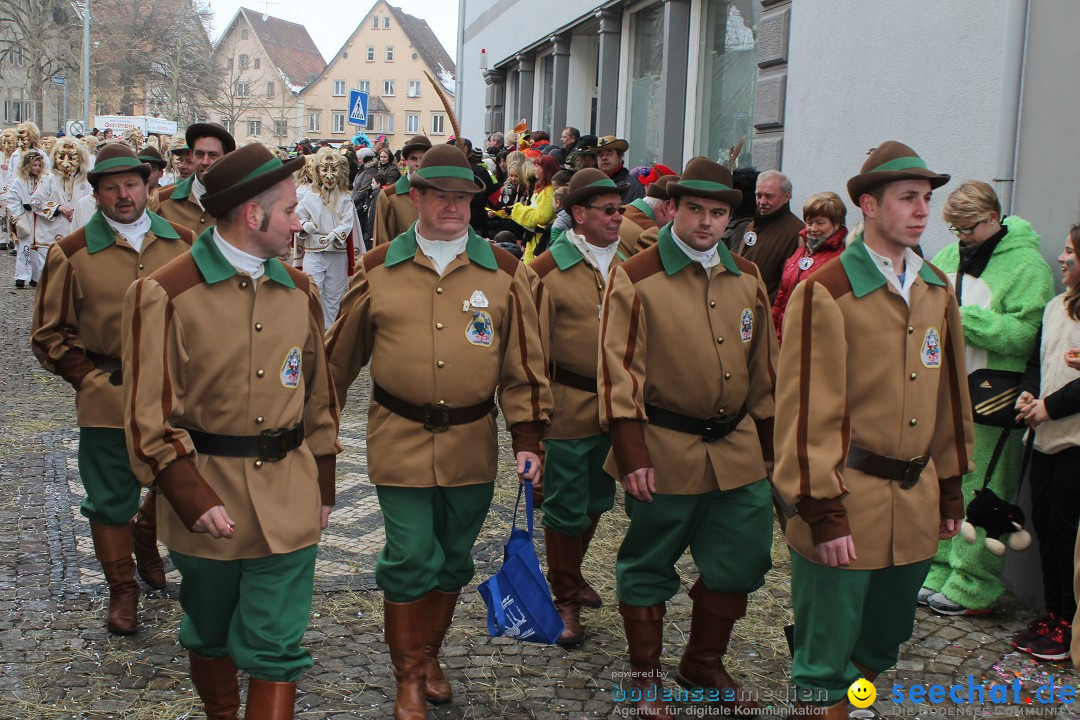 Rosenmontags-Umzug: Messkirch am Bodensee, 16.02.2015