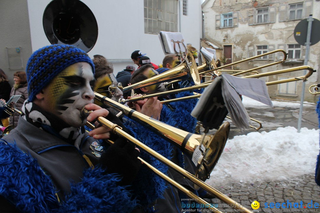 Rosenmontags-Umzug: Messkirch am Bodensee, 16.02.2015